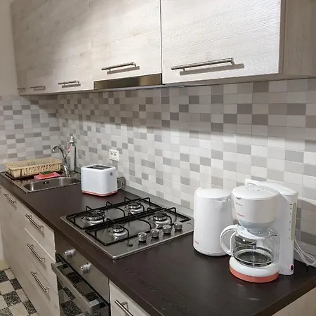 Cristian Near Old Town شقة تيميشورا